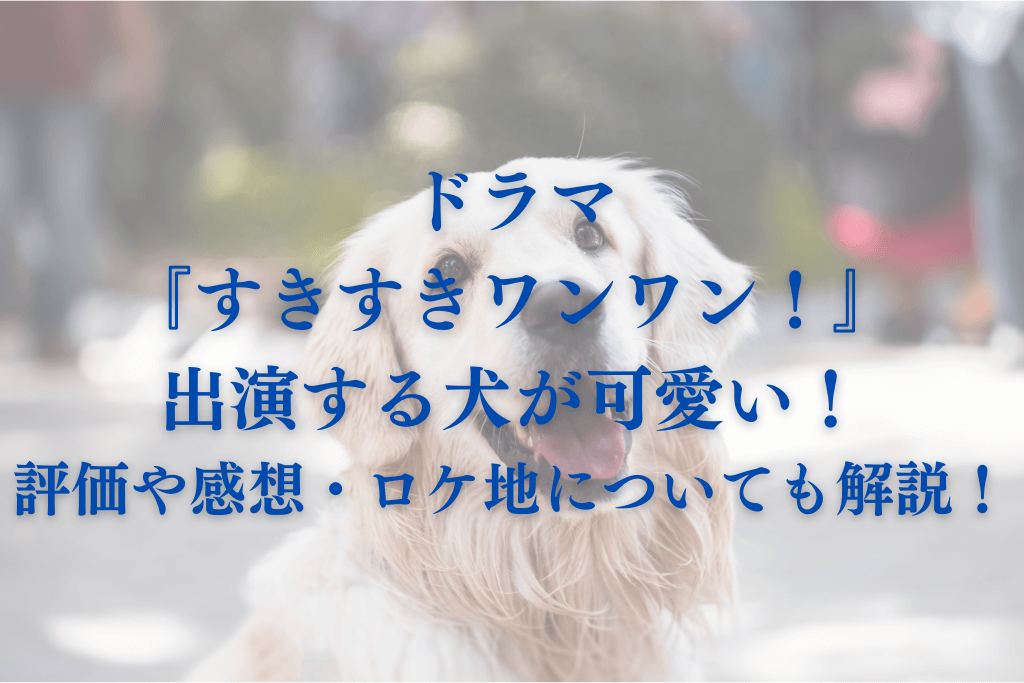 ドラマ『すきすきワンワン！』出演する犬が可愛い！評価や感想・ロケ地についても解説！